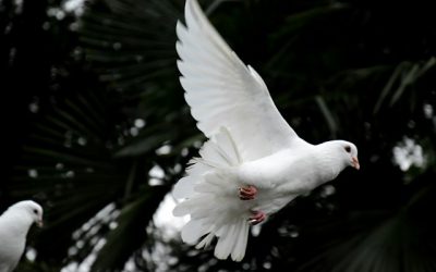 Are most people good by nature?